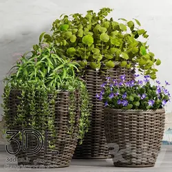 آبجکت گیاه plant 474