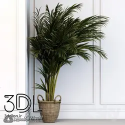 آبجکت گیاه plant 473