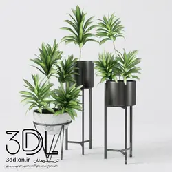 آبجکت گیاه plant 471