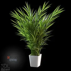 آبجکت گیاه plant 469