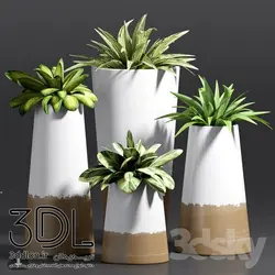 آبجکت گیاه plant 468