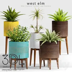 آبجکت گیاه plant 466