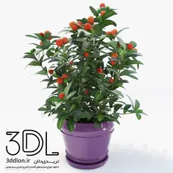آبجکت گیاه plant 465