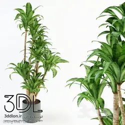 آبجکت گیاه plant 464