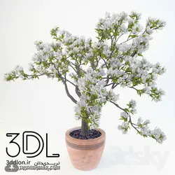 آبجکت گیاه plant 463