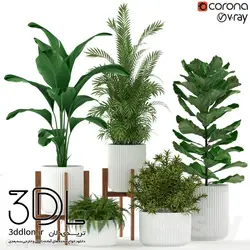 آبجکت گیاه plant 462