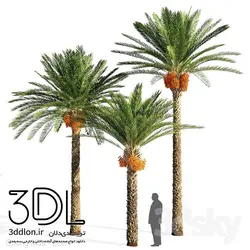 آبجکت گیاه Plant 458