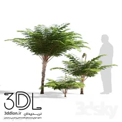 آبجکت گیاه Plant 457