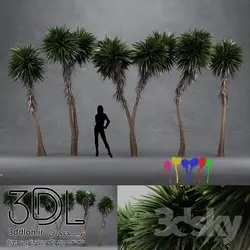 آبجکت گیاه Plant 456