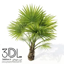 آبجکت گیاه Plant 455