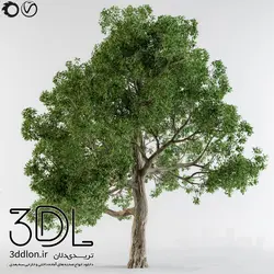 آبجکت گیاه Plant 451