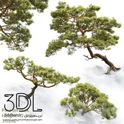 آبجکت گیاه Plant 449