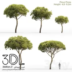 آبجکت گیاه Plant 447