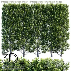 آبجکت گیاه Plant 444