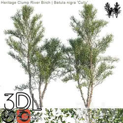 آبجکت گیاه Plant 443