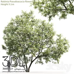 آبجکت گیاه Plant 440