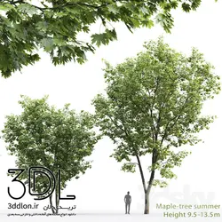 آبجکت گیاه Plant 439