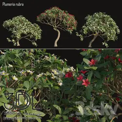 آبجکت گیاه Plant 438