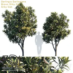 آبجکت گیاه Plant 437