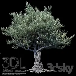 آبجکت گیاه Plant 436