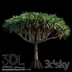 آبجکت گیاه Plant 430