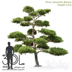 آبجکت گیاه Plant 423