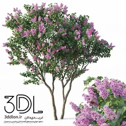 آبجکت گیاه Plant 422