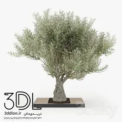 آبجکت گیاه Plant 421