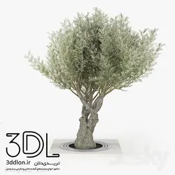 آبجکت گیاه Plant 420