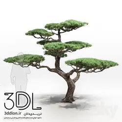 آبجکت گیاه Plant 417