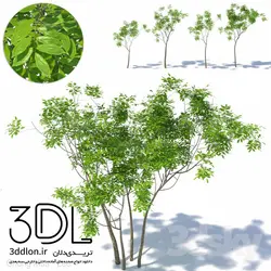 آبجکت گیاه Plant 416