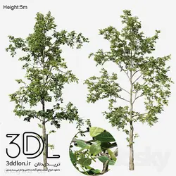 آبجکت گیاه Plant 415