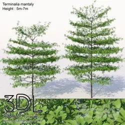 آبجکت گیاه Plant 414