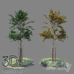 آبجکت گیاه Plant 413