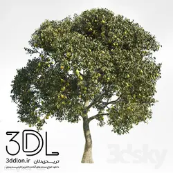 آبجکت گیاه Plant 412