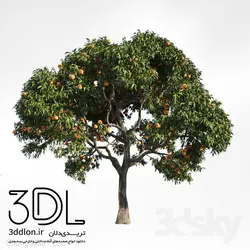 آبجکت گیاه Plant 411