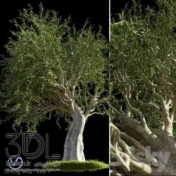 آبجکت گیاه Plant 409