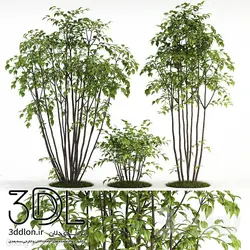 آبجکت گیاه Plant 401