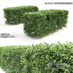 آبجکت گیاه Plant 400