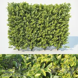 آبجکت گیاه Plant 397