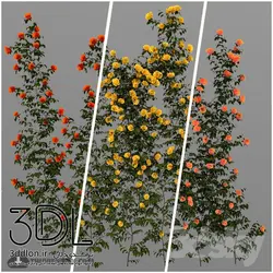 آبجکت گیاه Plant 396