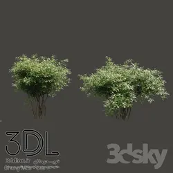 آبجکت گیاه Plant 391