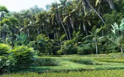 آبجکت گیاه Plant 386