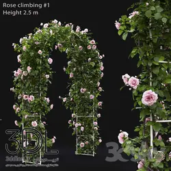 آبجکت گیاه Plant 382