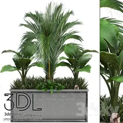 آبجکت گیاه Plant 379