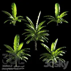 آبجکت گیاه Plant 377