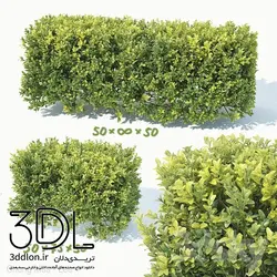 آبجکت گیاه Plant 370