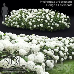 آبجکت گیاه Plant 366