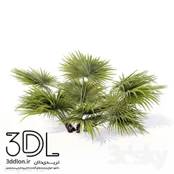 آبجکت گیاه Plant 365