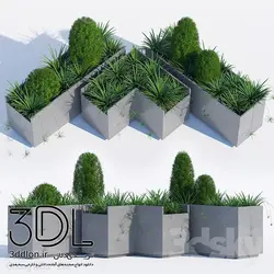 آبجکت گیاه Plant 364